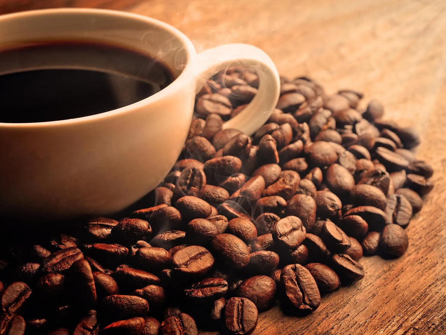 Café Café https://4kym48m6w0dj35od.public.blob.vercel-storage.com/dishes/internal/caf--1762884795717.webp