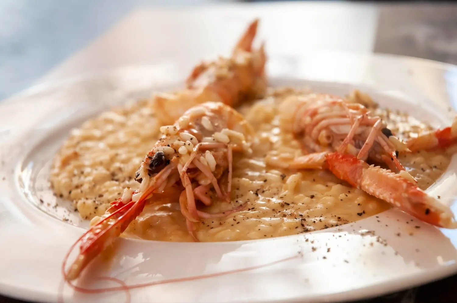 Lobster Risotto https://4kym48m6w0dj35od.public.blob.vercel-storage.com/dishes/internal/lobster-risotto-1759361008085.webp