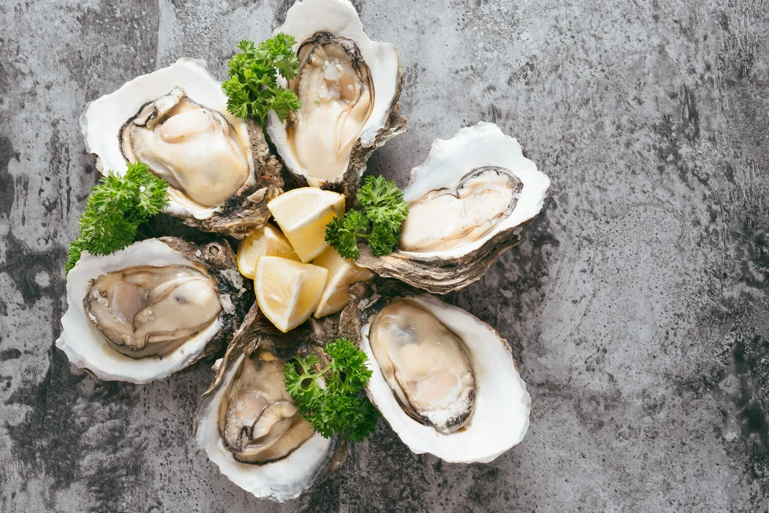 Oysters
